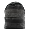 Grey Stripe